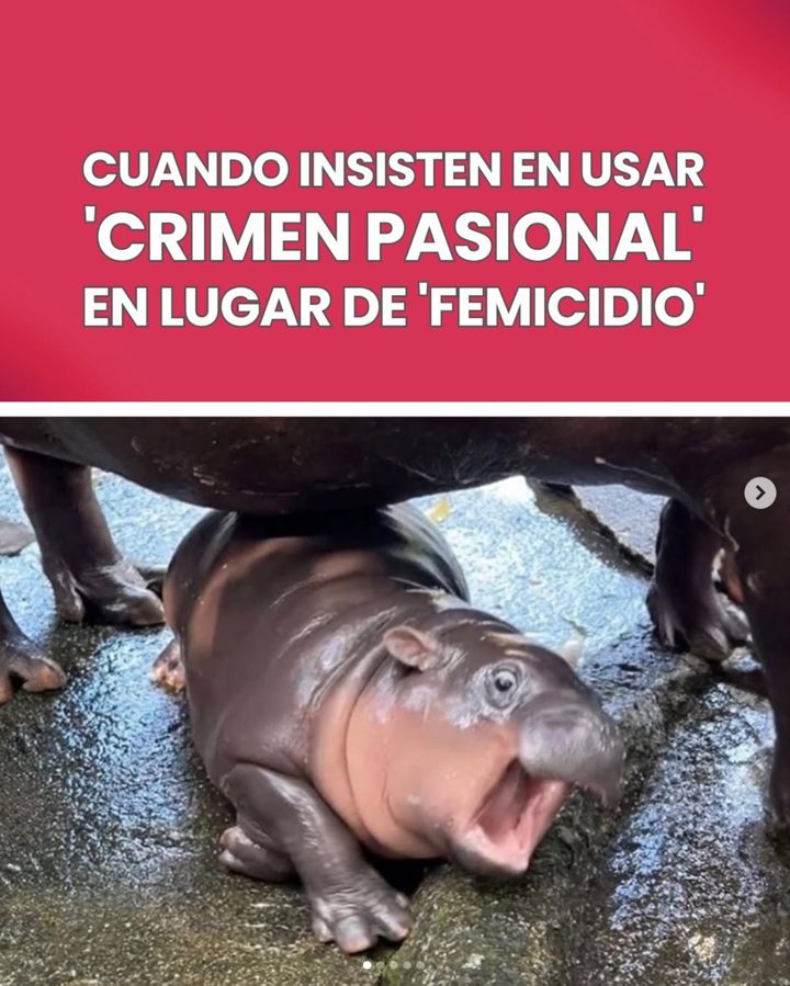 Crimen pasional vs. femicidio